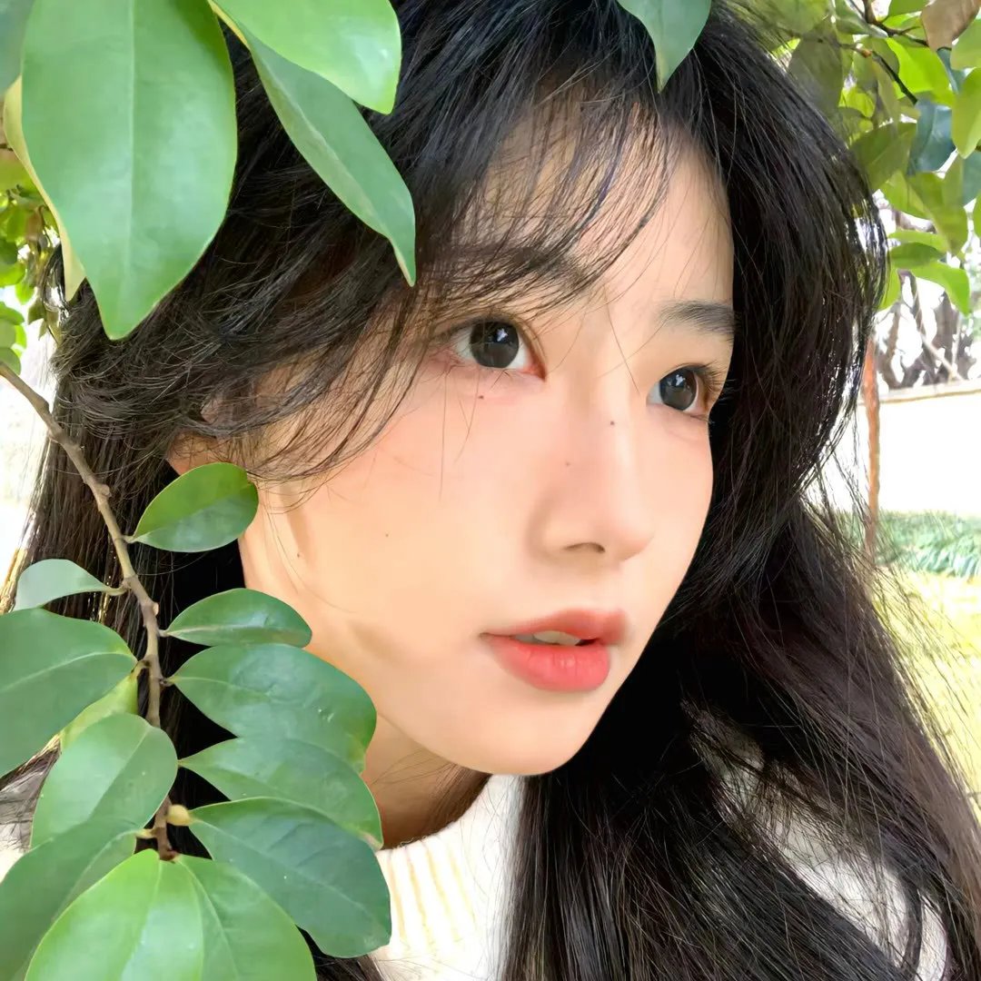 夹缝中活着,小春